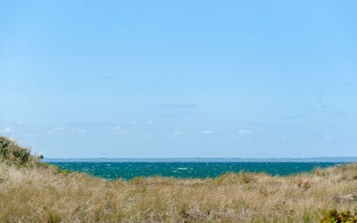 Petersen - 50M from the Sea