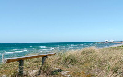 Petersen - 50M from the Sea
