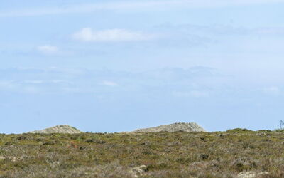 Hrefna - 350M from the Sea
