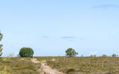 Hrefna - 350M from the Sea