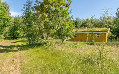Mirla - 300M from the Sea: Tag, Hus, Hjem, Sommerhus, Dør, Sidespor, Dæk, Veranda, Planke, Hårdttræ