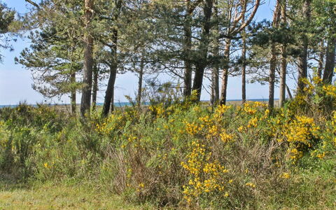 Hatem - 200M from the Sea: Træ, Hjem, Veranda, Dæk, Hårdttræ, Tag, Bejdse, Trægulve, Eco Hotel