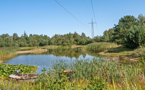 Harthe - 800M from the Sea: Svømmepøl, Udendørs Møbler, Møbel, Udvej, Flise, Eco Hotel, Skygge, Stol, Fritid, Estate