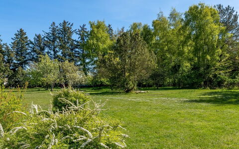Ognen - 1.5Km from the Sea: Svømmepøl, Udendørs Møbler, Møbel, Udvej, Flise, Eco Hotel, Skygge, Stol, Fritid, Estate