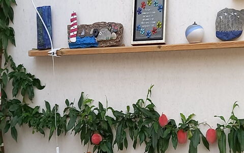 Hartvig - 800M from the Sea: Frugt, Fremstille, Naturlige Fødevarer, Mad, Blomsterkrukke, Stueplante, Rose Family, Superfood