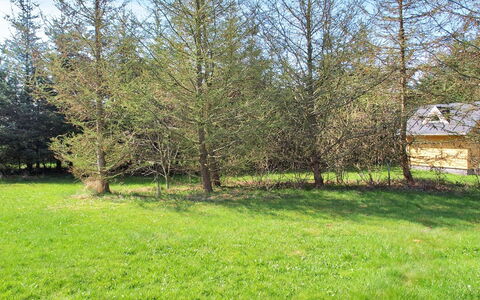Eljena - 600M from the Sea: Træ, Blad, Lærk, Vedplante, Eng, Pasture, Woodland, Lawn