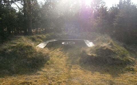 Dorith - 400M from the Sea: Græs, Jord, Skygge