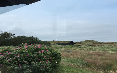Gerulf - 600M from the Sea: Blå, Busk, Sommerhus, Bunddække, Have, Estate, Skygge, Landscaping, Stuehus, Eco Hotel