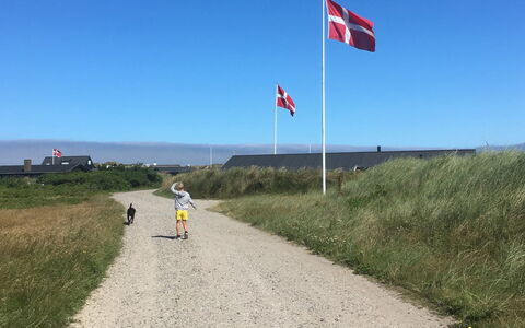 Märta - 300M from the Sea: Naturligt Miljø, Økoregion, Almindeligt, Landskab, Græs-, Land Lot, Fritid, Eng, Prærie