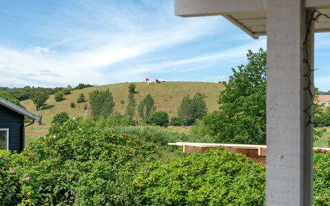 Raija - 400M from the Sea: Busk, Plantesamfund, Land Lot, Bunddække, Have, Skygge, Estate, Lawn, Hæk