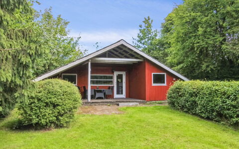 Faustina - 29Km from the Sea: Græs, Græs-, Landskab, Økoregion, Almindeligt, Plantesamfund, Land Lot, Udendørs Møbler, Prærie, Shrubland