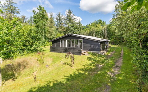 Vitus - 30Km from the Sea: Tag, Hus, Hjem, Sommerhus, Dør, Sidespor, Dæk, Veranda, Planke, Hårdttræ