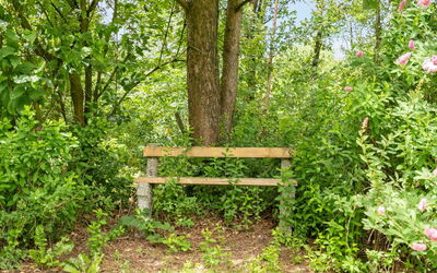 Massie - 30Km from the Sea