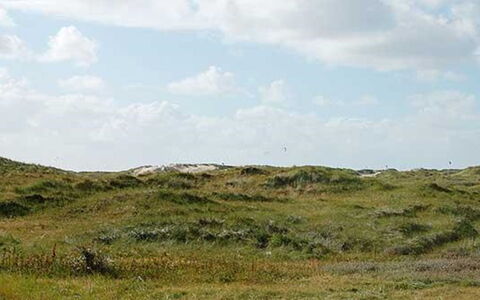 Apostol - 500M from the Sea: Blå, Busk, Sommerhus, Bunddække, Have, Estate, Skygge, Landscaping, Stuehus, Eco Hotel