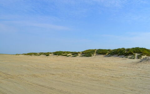 Apostol - 500M from the Sea: Blå, Busk, Sommerhus, Bunddække, Have, Estate, Skygge, Landscaping, Stuehus, Eco Hotel