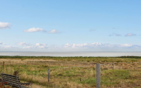 Baltser - 5Km from the Sea: Blå, Busk, Sommerhus, Bunddække, Have, Estate, Skygge, Landscaping, Stuehus, Eco Hotel