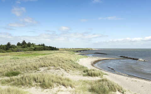 Hughe - 300M from the Sea: Hus, Sommerhus, Tag, Garden Bygninger, Skygge, Skur, Backyard, Udendørs Møbler, Gård, Lawn