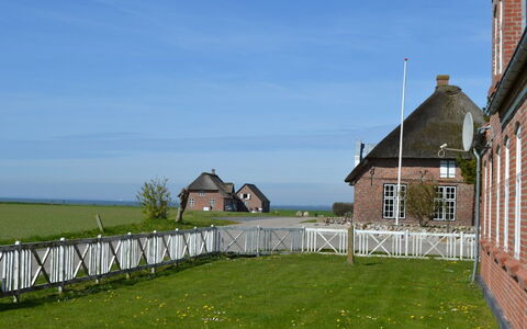 Adine - 13Km from the Sea: Blå, Busk, Sommerhus, Bunddække, Have, Estate, Skygge, Landscaping, Stuehus, Eco Hotel