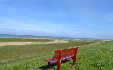 Adine - 13Km from the Sea: Blå, Busk, Sommerhus, Bunddække, Have, Estate, Skygge, Landscaping, Stuehus, Eco Hotel