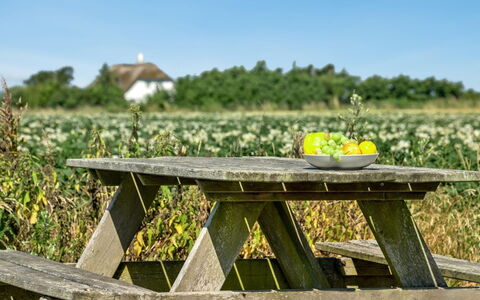 Ejna: Blå, Busk, Sommerhus, Bunddække, Have, Estate, Skygge, Landscaping, Stuehus, Eco Hotel
