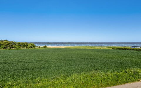 Kielo - 10Km from the Sea: Blå, Busk, Sommerhus, Bunddække, Have, Estate, Skygge, Landscaping, Stuehus, Eco Hotel