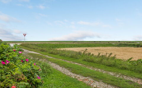 Clausina - 600M from the Sea: Blå, Busk, Sommerhus, Bunddække, Have, Estate, Skygge, Landscaping, Stuehus, Eco Hotel