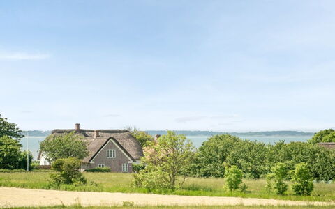 Iina - 13Km from the Sea: Blå, Busk, Sommerhus, Bunddække, Have, Estate, Skygge, Landscaping, Stuehus, Eco Hotel