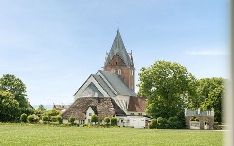 Iina - 13Km from the Sea: Blå, Busk, Sommerhus, Bunddække, Have, Estate, Skygge, Landscaping, Stuehus, Eco Hotel