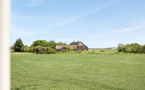 Iina - 13Km from the Sea: Blå, Busk, Sommerhus, Bunddække, Have, Estate, Skygge, Landscaping, Stuehus, Eco Hotel