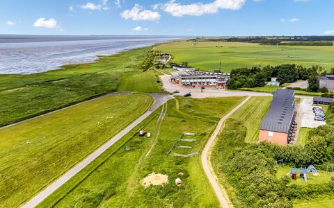 Anthonie: Græs, Græs-, Landskab, Økoregion, Almindeligt, Plantesamfund, Land Lot, Udendørs Møbler, Prærie, Shrubland