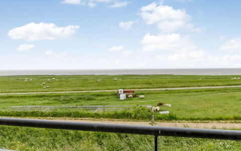 Anthonie: Græs, Græs-, Landskab, Økoregion, Almindeligt, Plantesamfund, Land Lot, Udendørs Møbler, Prærie, Shrubland