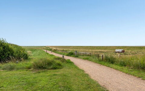 Sofija: Blå, Busk, Sommerhus, Bunddække, Have, Estate, Skygge, Landscaping, Stuehus, Eco Hotel