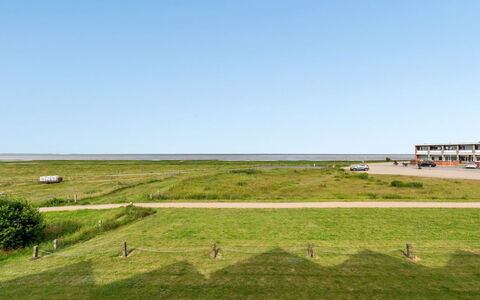 Sofija: Blå, Busk, Sommerhus, Bunddække, Have, Estate, Skygge, Landscaping, Stuehus, Eco Hotel