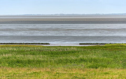 Sofija: Horisont, Økoregion, Græs-, Almindeligt, Coastal Og Oceaniske Landskabsformer, Land Lot, Hav, Kyst, Mark