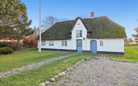 Segut: Møbel, Indretning, Stol, Gulvbelægning, Bord, Udvej, Etage, Loft, Værelse, Eco Hotel