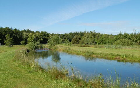 Jani - 25Km from the Sea: Vand, Krop Af Vand, Vandressourcer, Naturligt Miljø, Marsk, Græs-, Naturlige Landskab, Vandløb, Bank