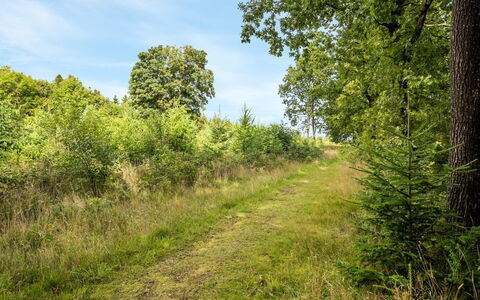 Rasmus - 29Km from the Sea: Boligområde, Tag, Forstad, Indkørsel, Estate, Skorsten