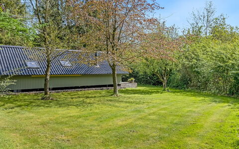 Hilla - 31Km from the Sea: Græs, Busk, Land Lot, Have, Almindeligt, Bunddække, Lawn, Sommerhus, Skygge