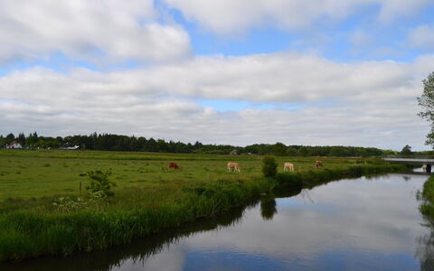 Josina - 32Km from the Sea: Himmel, Vandressourcer, Vand, Krop Af Vand, Naturligt Miljø, Natur, Naturlige Landskab, Vandvej, Grøn, Sky