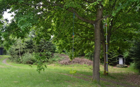 Josina - 32Km from the Sea: Blad, Træ, Afdeling, Bagagerum, Naturreservat, Vedplante, Lawn, Have, Woodland, Skygge