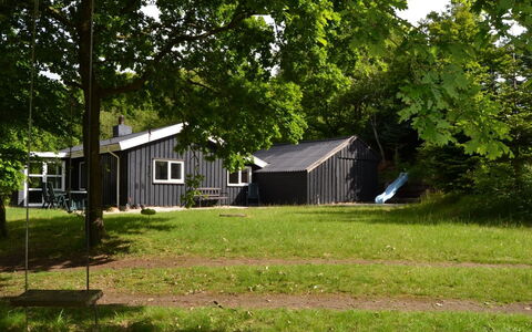 Josina - 32Km from the Sea: Græs, Træ, Hjem, Hus, Sommerhus, Land Lot, Lawn, Landdistrikt, Backyard, Garden Bygninger