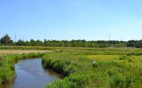 Herman - 22Km from the Sea: Bygning, Hus, Vindue, Hjem, Tag, Boligområde, Busk, Sommerhus, Land Lot
