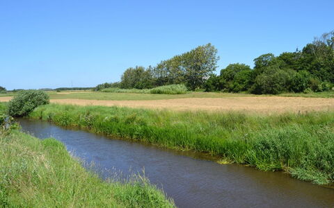 Esja - 22Km from the Sea: Vandressourcer, Krop Af Vand, Græs, Naturligt Miljø, Naturlige Landskab, Vandvej, Vandløb, Marsk, Bank