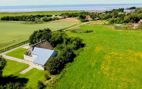 Thorarin - 25Km from the Sea: Græs, Græs-, Landskab, Økoregion, Almindeligt, Plantesamfund, Land Lot, Udendørs Møbler, Prærie, Shrubland