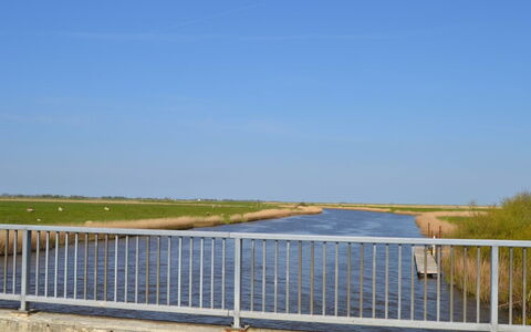 Inda - 10Km from the Sea: Græs, Hus, Tag, Hjem, Sommerhus, Busk, Land Lot, Landdistrikt, Stuehus, Bunddække