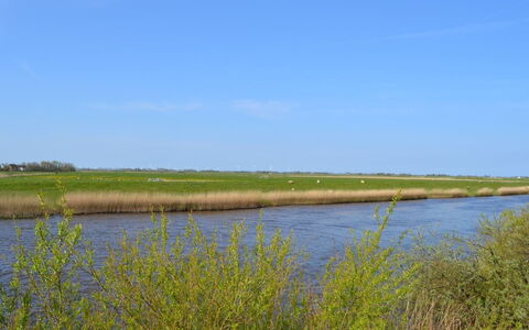 Inda - 10Km from the Sea: Græs, Hus, Tag, Hjem, Sommerhus, Busk, Land Lot, Landdistrikt, Stuehus, Bunddække