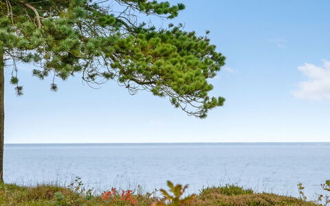 Ingeborg - 100M to the Fjord: Tag, Hus, Hjem, Sommerhus, Sidespor, Estate, Indkørsel, Garden Bygninger, Gård, Skur