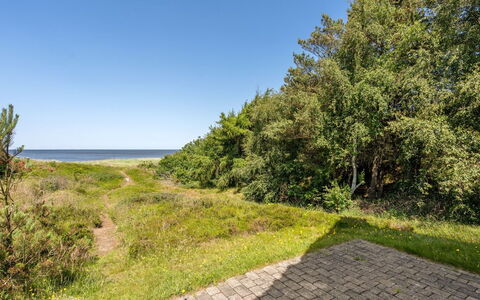 Ingeborg - 100M to the Fjord: Tag, Hus, Hjem, Sommerhus, Sidespor, Estate, Indkørsel, Garden Bygninger, Gård, Skur