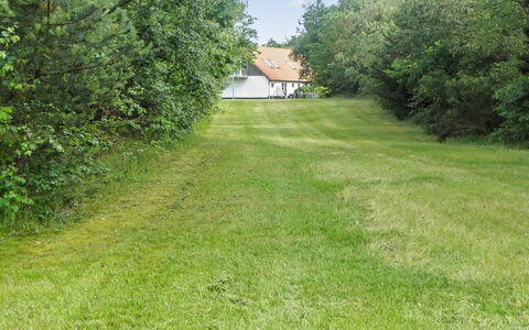 Beatha - 25Km to the Fjord: Græs, Træ, Græs-, Busk, Land Lot, Lawn, Bunddække, Eng