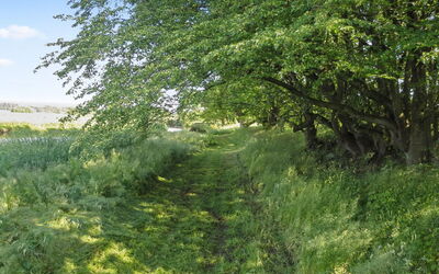 Beatha - 25Km to the Fjord